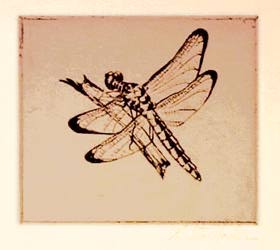 Dragonfly