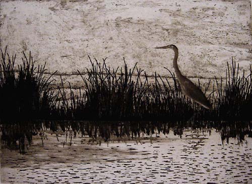 Great Blue Heron