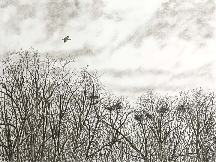Heronry