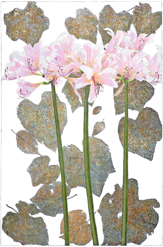 Naked Ladies