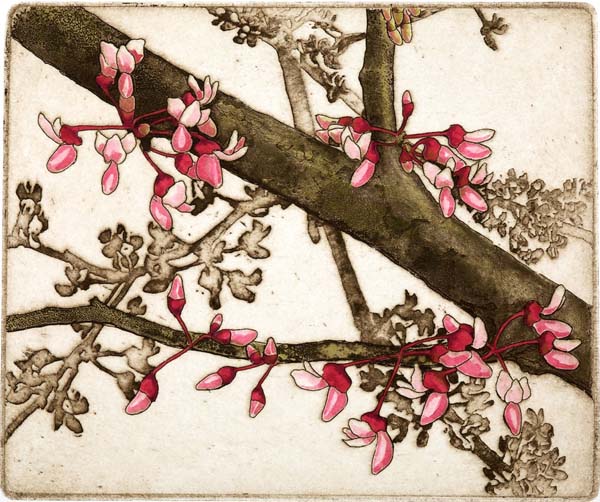 Redbud