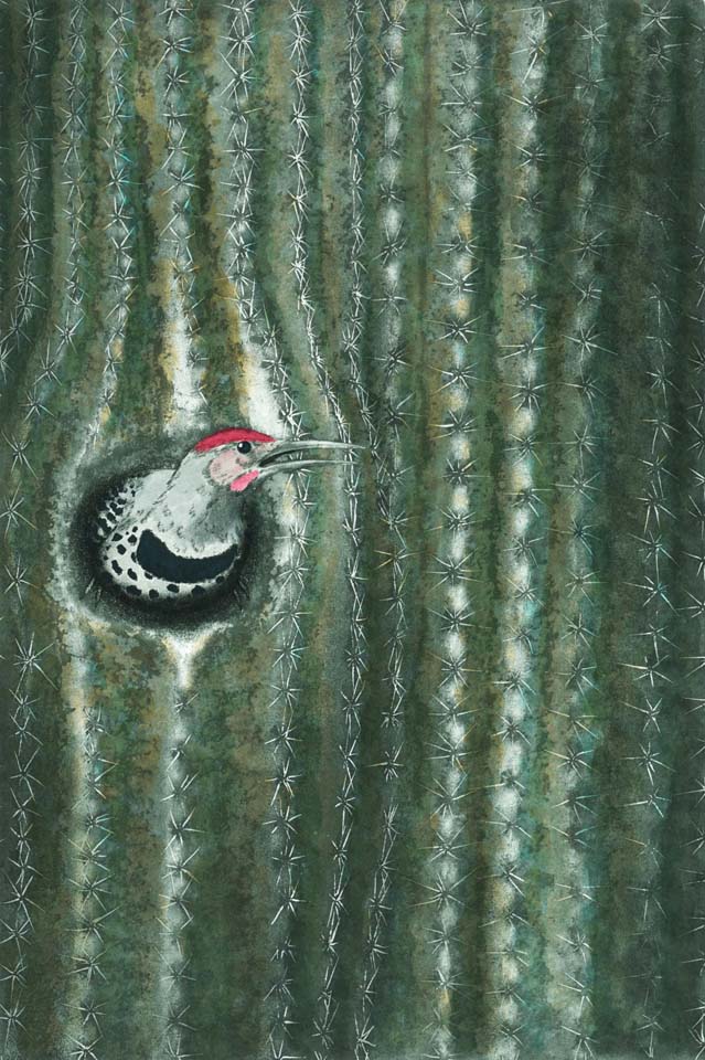 Saguaro Dweller