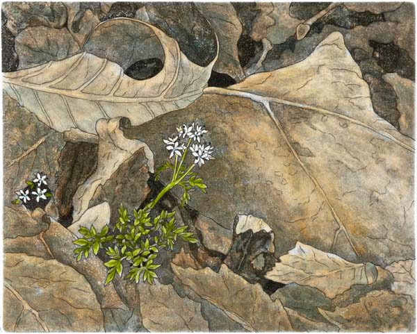 Salt & Pepper, Giclee