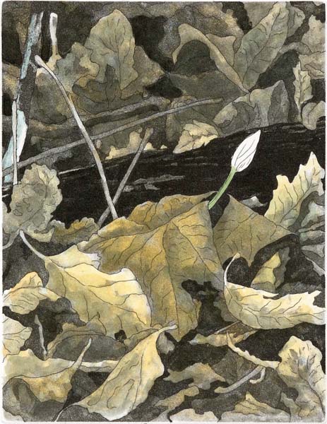 Wakeup Call, Giclee