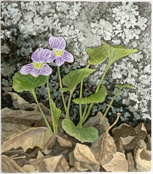 Woolly Blue, Giclee
