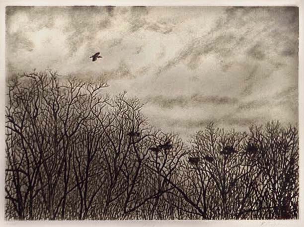 Heronry