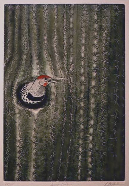 Saguaro Dweller