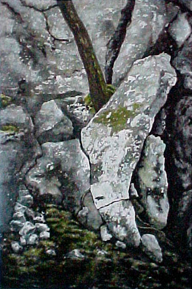 Toehold